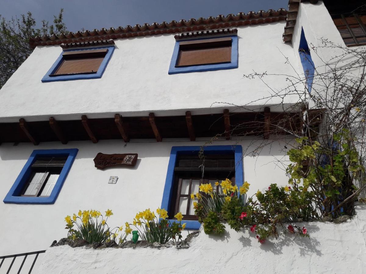 Casa El Olivo By Casaturistica Villa Benalauria Luaran gambar